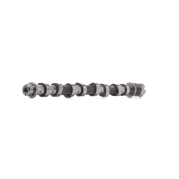 AMC 647198 Camshaft