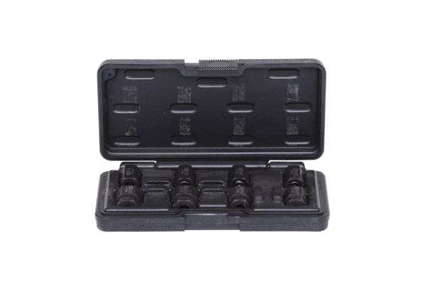 KS TOOLS 670.0255 Vaarna- / pinnaruuvin ulosvedinsarja