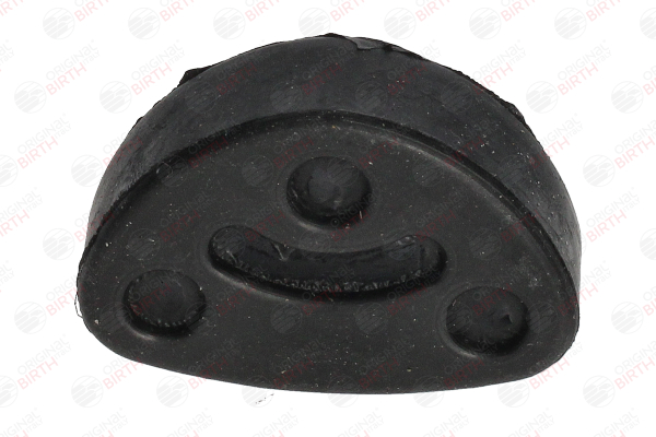 Holder, udstødningssystem 7480 BIRTH 46 461 540 CITROËN