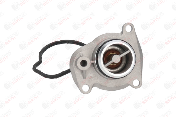 BIRTH 80016 Flansch Metall, mit Thermostat, mit Dichtung