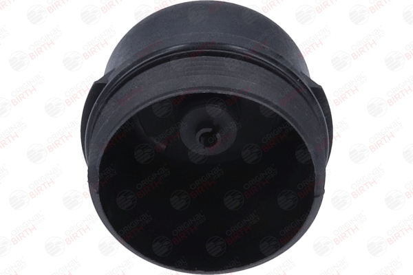 BIRTH 80037 Capuchon de filtre à huile pour Peugeot 206 3/5 portes 2A/C 2.0 RC 177 CV 2007 RFK (EW10J4S) Essence BIRTH 80037 Couvercle de filtre à huile Peugeot 206 (2A/C) 2.0 RC 177 CV Essence prix