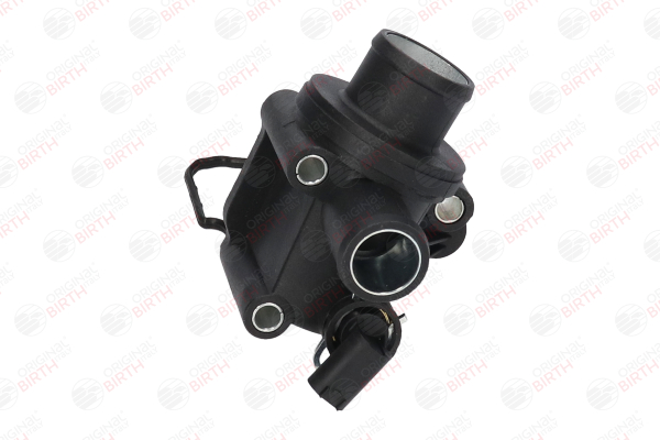 BIRTH 80199 Flansch vorne, Kunststoff, mit Temperatursensor, mit Thermostat