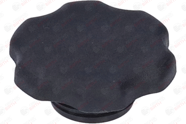 BIRTH 8813 Bouchon d'huile moteur Astra H Caravan 1.6 (L35) 105 CV Essence 2007