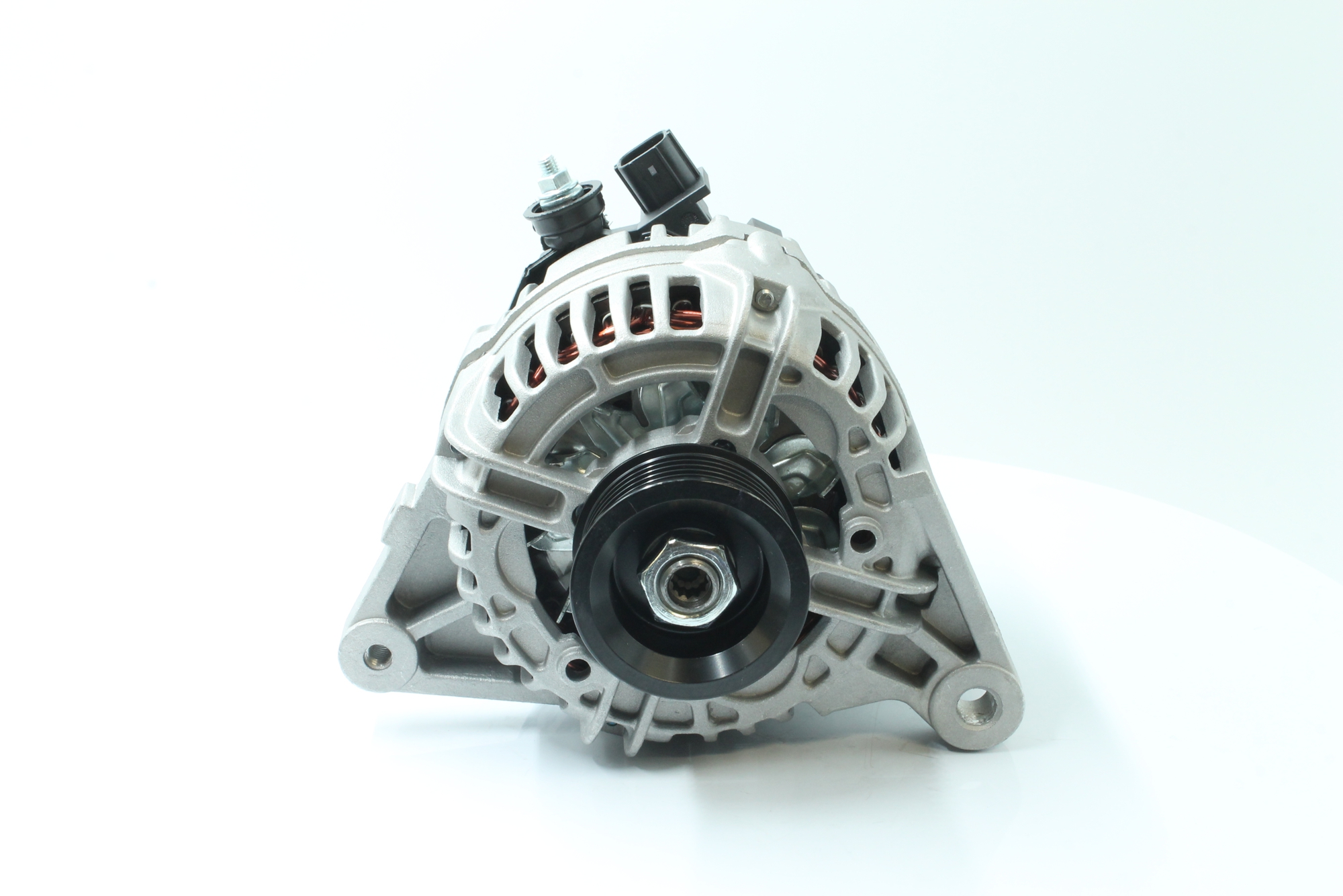 PowerMax 89212249 Lichtmaschine