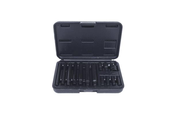 KS TOOLS 911.4306 Komplekt, kruvikeeraja otsik (Bits)