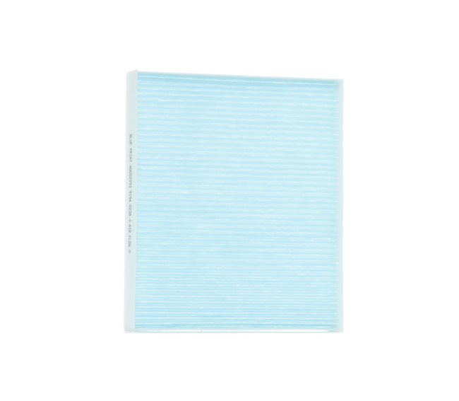 BLUE PRINT ADG02593 Pollen filter