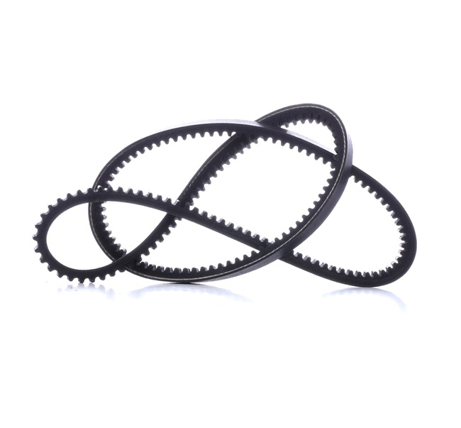 V-Belt 511310251 MASTER-SPORT 055 260 849 E BMW