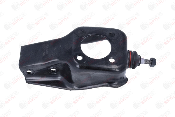 BIRTH BR1011 Dreieckslenker Fiat Panda 141 0.9 45 PS Benzin Kosten