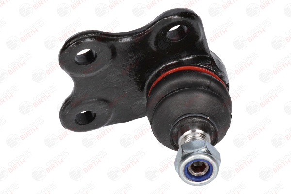 CD0006 BIRTH Spindelleder Audi