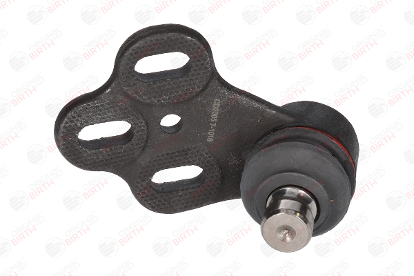 CD2005 BIRTH Spindelled Audi