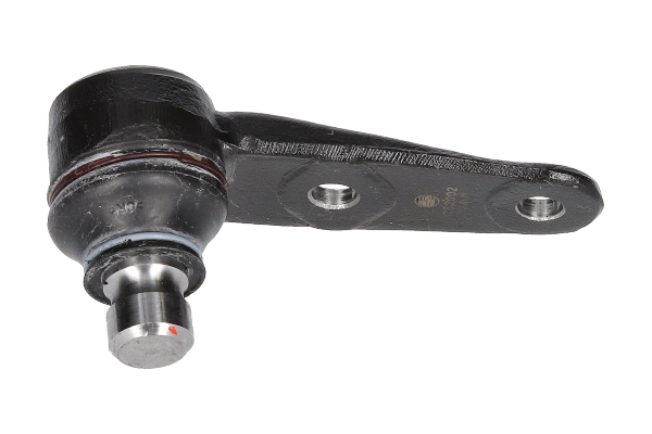 AUDI kulled BIRTH CS2002