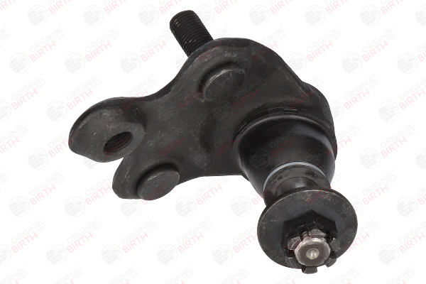 CX0158 BIRTH Pallonivel hinta