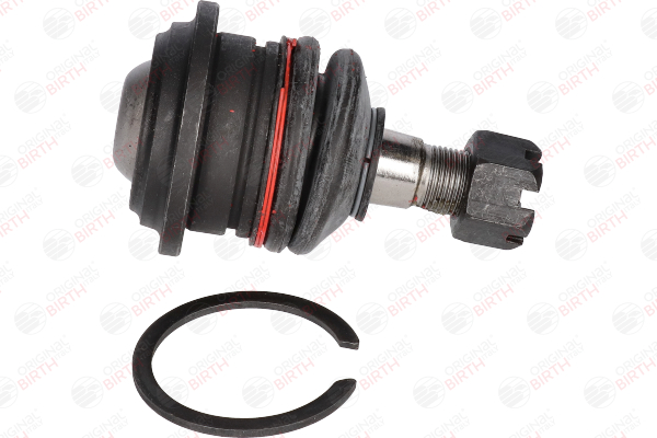 CX0190 BIRTH Spindelled Nissan