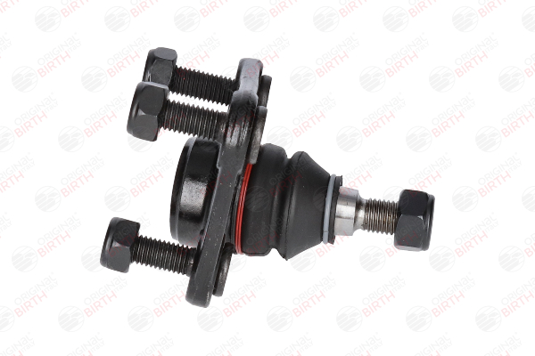 AUDI kulled BIRTH CX1385