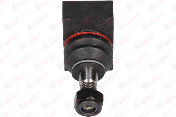 CX9203 BIRTH Traggelenk Smart Roadster Coupe 452 Wechseln Kosten