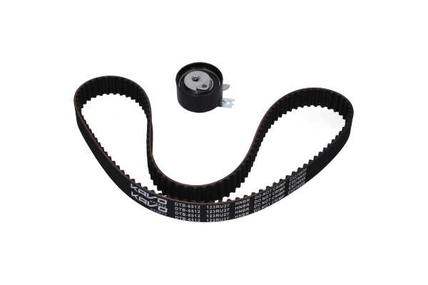 KAVO PARTS DKT-6509 Kit de distribution Renault Kangoo 2 Express 1.5 dCi 85 (FW0K, FW0L, FW0B) 86 CV Diesel 2013