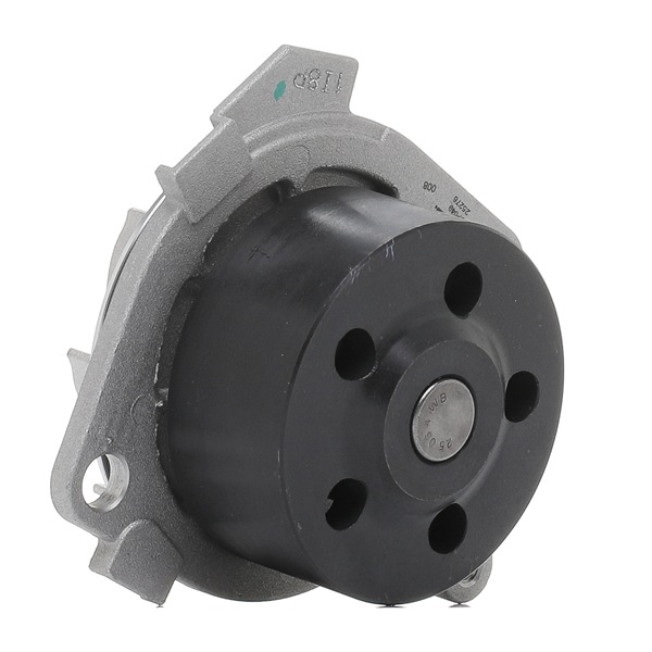 DAYCO DP049 Vandpumpe
