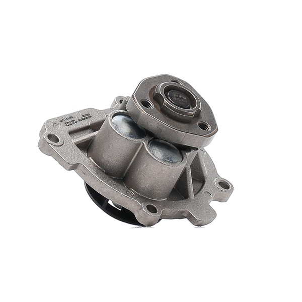 DAYCO DP191 Pompe à eau