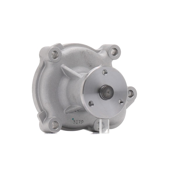 Veepump DP276 DAYCO 97 251 178 OPEL