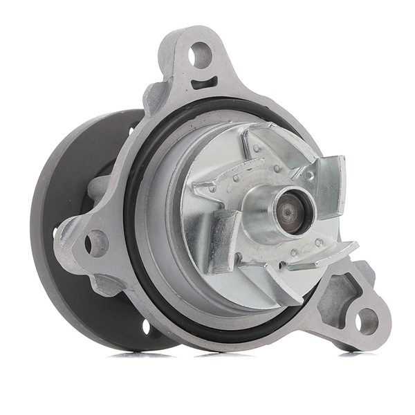 DAYCO Vandpumpe DP339 DAYCO DP339 Vandpumpe KIA PICANTO hvad koster