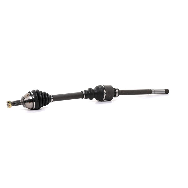 BGA DS1421R Semiasse