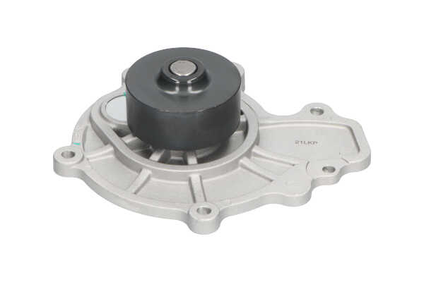 KAVO PARTS DW-1016 Pompe à eau VAUXHALL Antara (L07) 2.0 CDTI 150 CV Diesel 2011