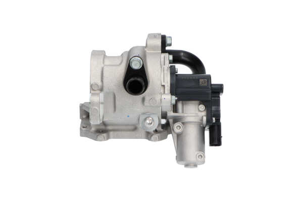 KAVO PARTS EEG-3029 EGR Hyundai H350 Minibus 2.5 CRDI 170 CV Diesel 2024