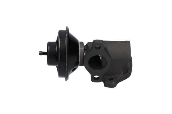 KAVO PARTS EEG-7503 Izpl. gāzu recirk. sistēmas vārsts / -ieplūdes caurule SSANGYONG Kyron SUV 2.7 Xdi 4x4 163 ZS Dīzelis cena