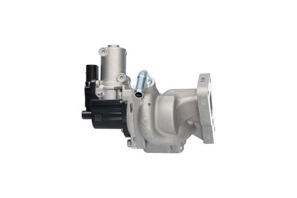 KAVO PARTS EEG-7507 Válvula egr Ssangyong Rexton W 2.0 Xdi Tracção integral 155 cv Diesel preço
