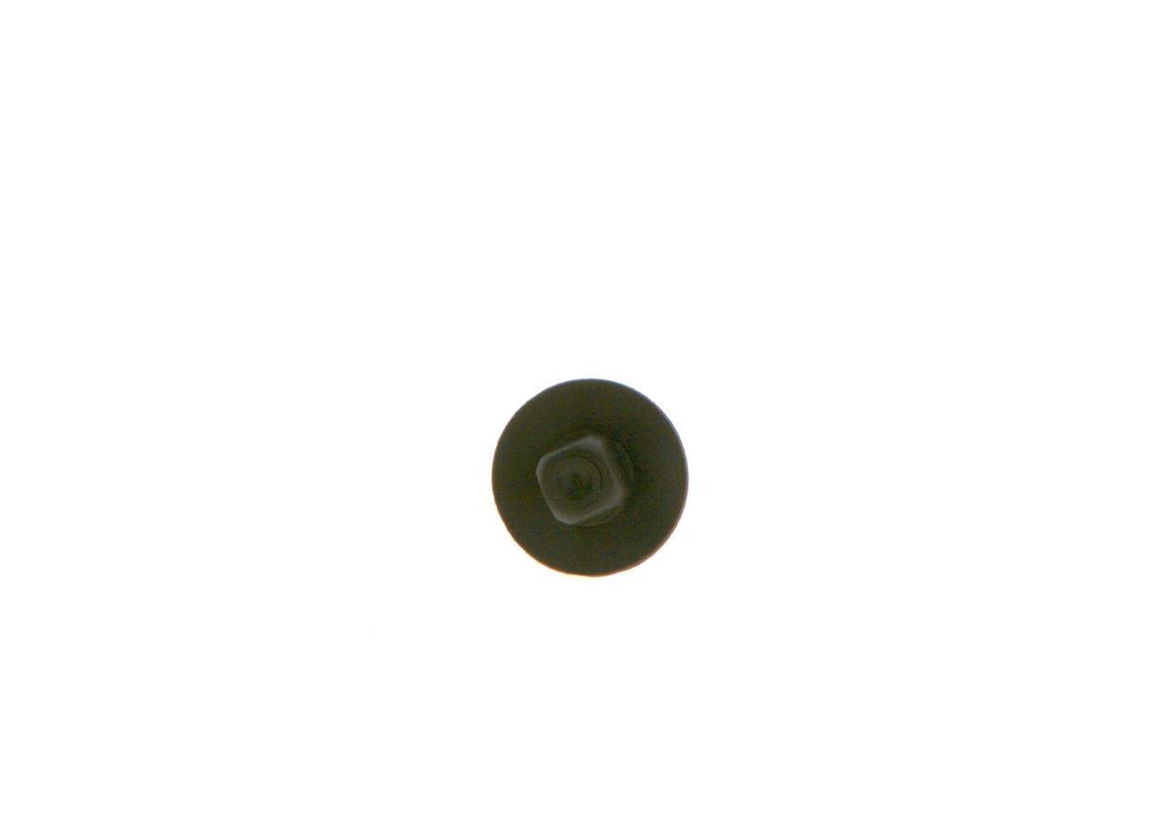 BOSCH F 00R J02 551 Kap