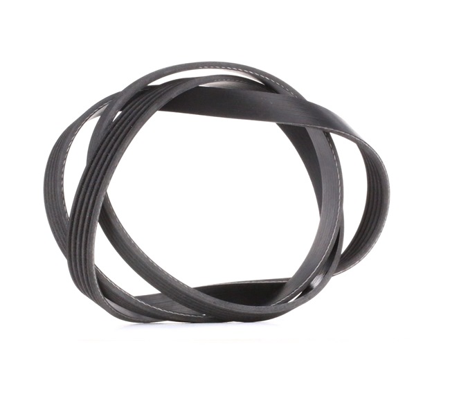 INA 5PK1546 Multiriem