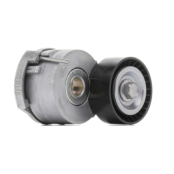 SNR GA359.27 originálne Napínacia kladka Fiat Scudo Van cena