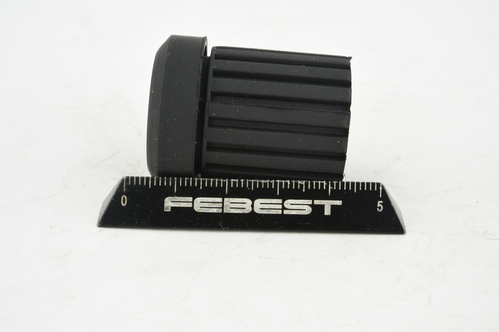 FEBEST NSB-C23R Coussinet de palier, ressort à lames