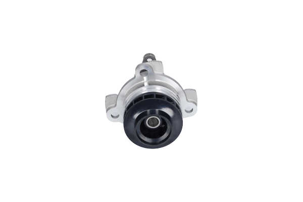 Vandpumpe NW-4251 KAVO PARTS 699 200 08 00 RENAULT