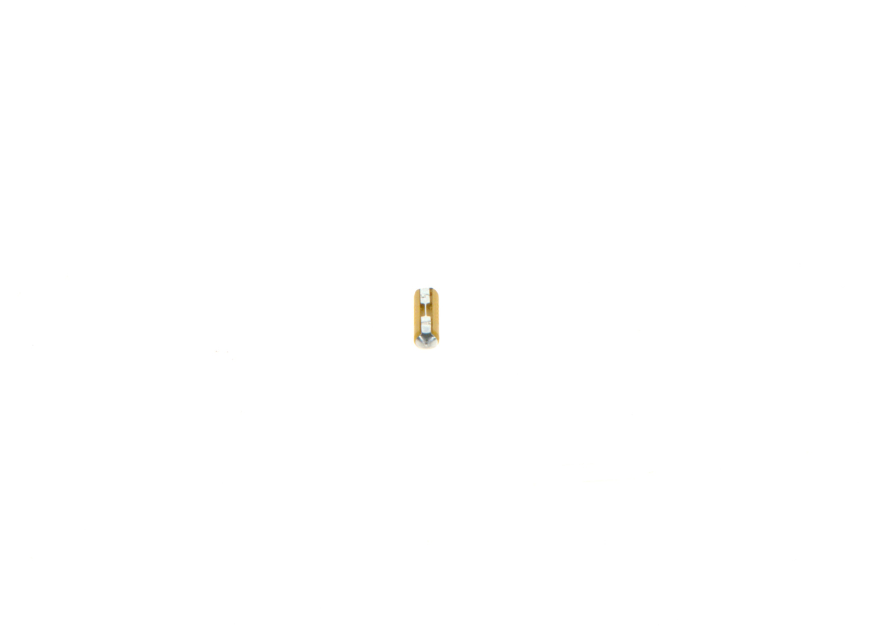 Sikring 1 904 520 015 BOSCH 002025