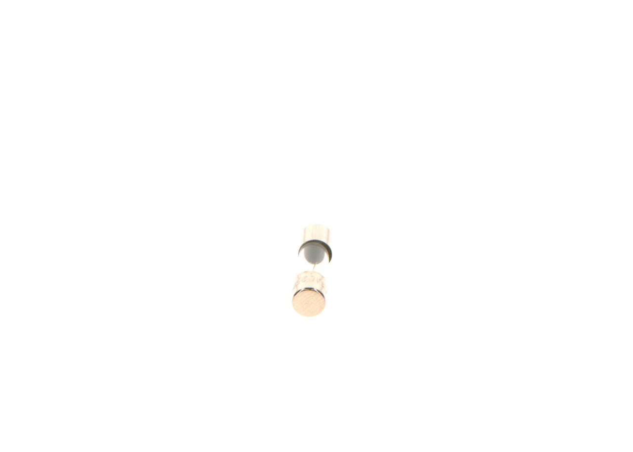 BOSCH 1 904 522 750 Sikring