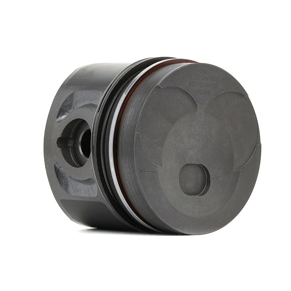 IPSA PI017000 Zuiger