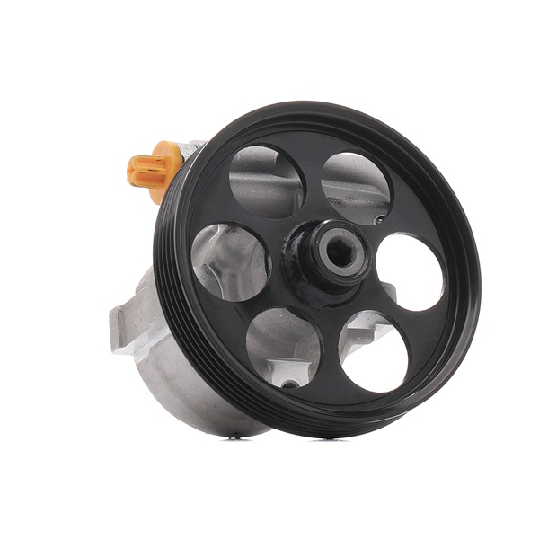 BGA PSP6305 originele Stuurbekrachtigingspomp Renault Megane 3 Coupe kosten