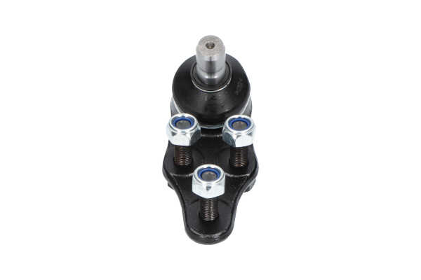 KAVO PARTS SBJ-1004 Rotule amortisseur pour Daewoo Rezzo U100 2.0 121 CV 2001 T20SED Essence KAVO PARTS SBJ-1004 Rotule de triangle Daewoo Tacuma Rezzo KLAU 2.0 121 CV Essence 2001