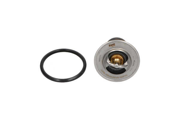 Termóstato, líquido de refrigeração TH-5504 KAVO PARTS MD310106 CITROËN