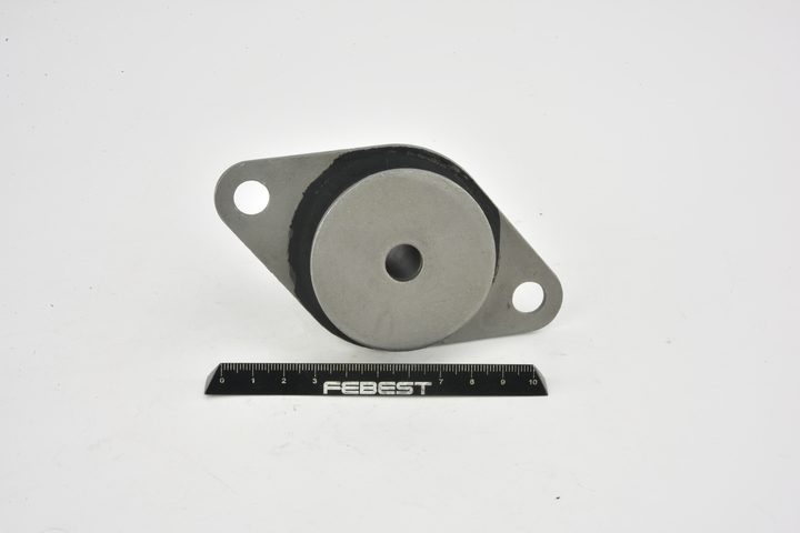 Achteras rubbers FEBEST LEXUS TSB-080