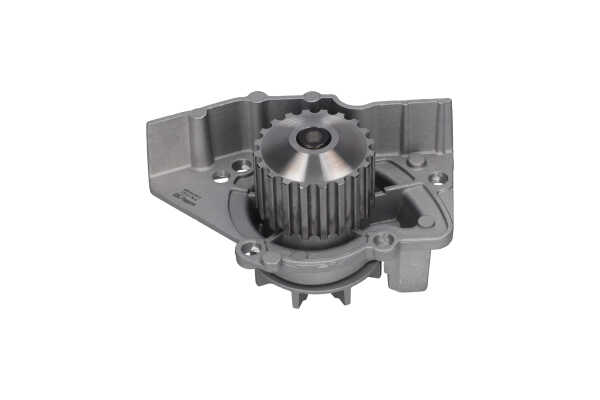 KAVO PARTS TW-2161 Vesipumpun — Citroën XSARA Coupe N0 1.9 D 68 hv 1999 DJY (XUD9A) Diesel KAVO PARTS TW-2161 Vesipumput Citroen Xsara Coupe 1.9 D 68 hv Diesel hinta