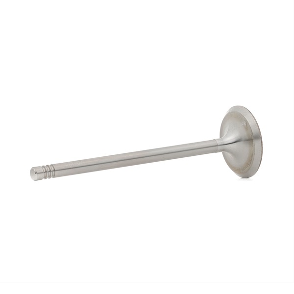 BGA V011960 Inlaatklep BMW E23 730 3.0 184 Pk Benzine prijs