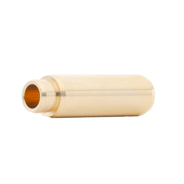 BGA VG3145 Vārsta vadīkla / -blīve / -uzstādīšana cena