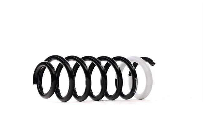 SACHS 996 679 Chassisveer