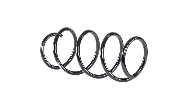 SACHS 998 390 Jousi (auton jousitus)