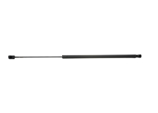 RIDEX 219G0724 Renault Super 5 B/C40 1.1 45 hp Petrol Boot struts price