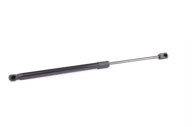 RIDEX 219G0738 Baklukedemper