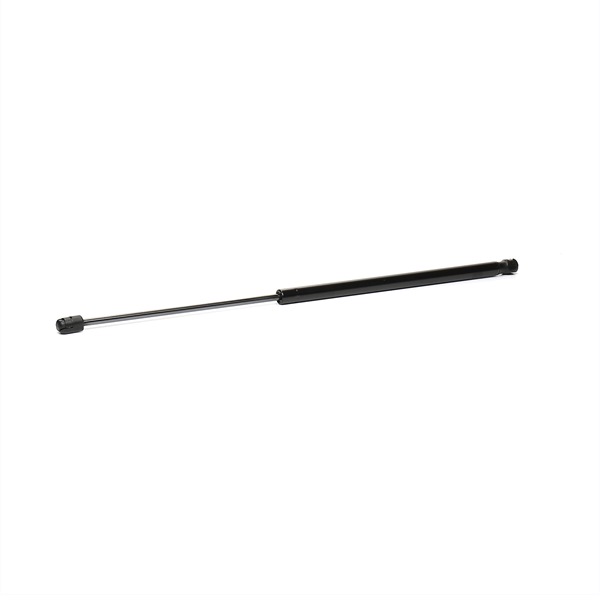 RIDEX 219G0746 Baklukedemper