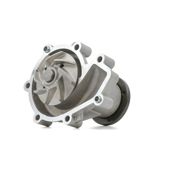 STARK SKWP-0520313 Pompe à eau